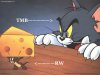 Jerry-Mouse-Cheese-1.jpg