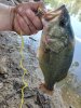 20200806_113417.jpg