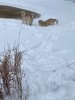 upload_2022-1-17_18-53-10.jpeg