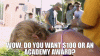 upload_2022-7-26_22-22-29.gif