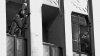 upload_2023-3-29_20-33-38.jpeg