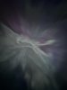 468BD3F9-3940-41FE-92C7-E3704E575012.jpeg