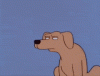 fxlB.gif