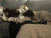 IMG_9737.jpeg