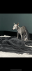 5C731B54-DE1B-4365-B6FC-9A24C07101A3.png
