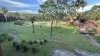 IMG_1144.jpeg