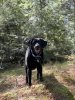 IMG_5101.jpeg
