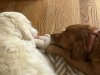 IMG_4629.jpeg