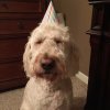 IMG_0529.jpeg