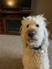 IMG_5485.jpeg