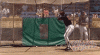 upload_2023-9-15_16-34-5.gif
