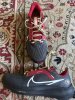 IMG_2725.jpeg