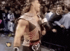 wwe-hbk (1).gif