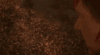 upload_2023-10-17_19-10-22.gif