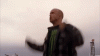 upload_2023-10-22_21-50-37.gif