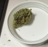 IMG_0740.jpeg