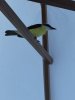 IMG_7360.jpeg