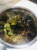 IMG_1066.jpeg