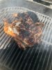 IMG_1073.jpeg