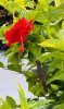 IMG_7427.jpeg