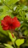 DSC_7613.jpeg