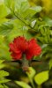 DSC_7609.jpeg