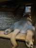 IMG_0567.jpeg