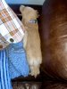 IMG_0631.jpeg