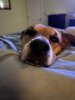 IMG_7092.jpeg