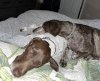 IMG_1404.jpeg