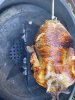 IMG_8139.jpeg