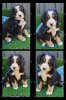 20231027_155720-COLLAGE.jpeg