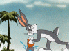 IMG_0290.gif