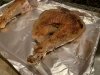 IMG_0804.jpeg
