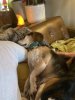 IMG_2992.jpeg