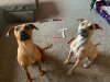 IMG_3379.jpeg