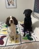 IMG_5486.jpeg