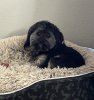 IMG_2367.jpeg