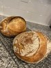 IMG_9918.jpeg