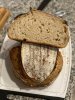 IMG_0207.jpeg