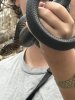 IMG_7739.jpeg