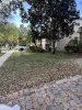 IMG_9407.jpeg