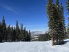 IMG_0767.jpeg