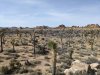 PXL_20240309_223350050.jpg