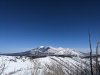 PXL_20240328_173150378.jpg