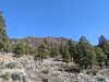 PXL_20240414_170429936.jpg