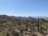 PXL_20240513_160700433.jpg