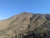 PXL_20240514_142605750.jpg