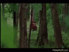 upload_2024-5-25_18-53-48.gif