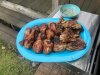 IMG_1387.jpeg